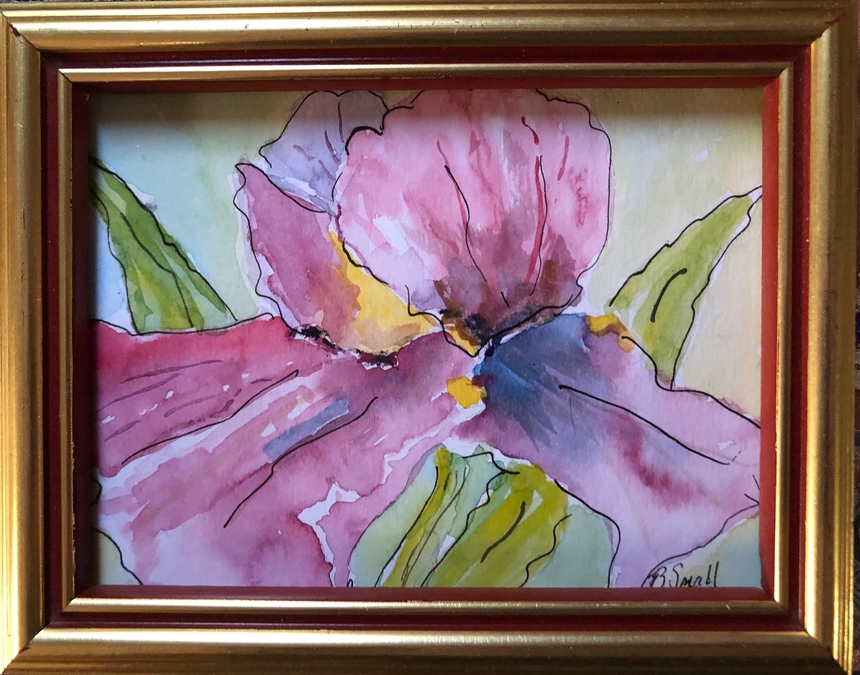 Iris