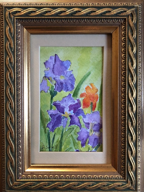 Irises