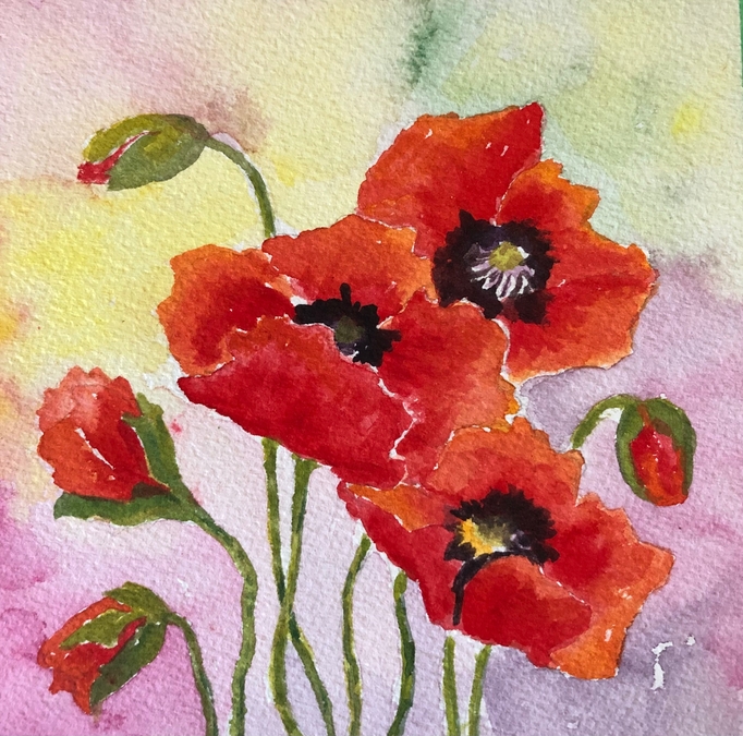 My Poppies